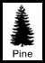 pine